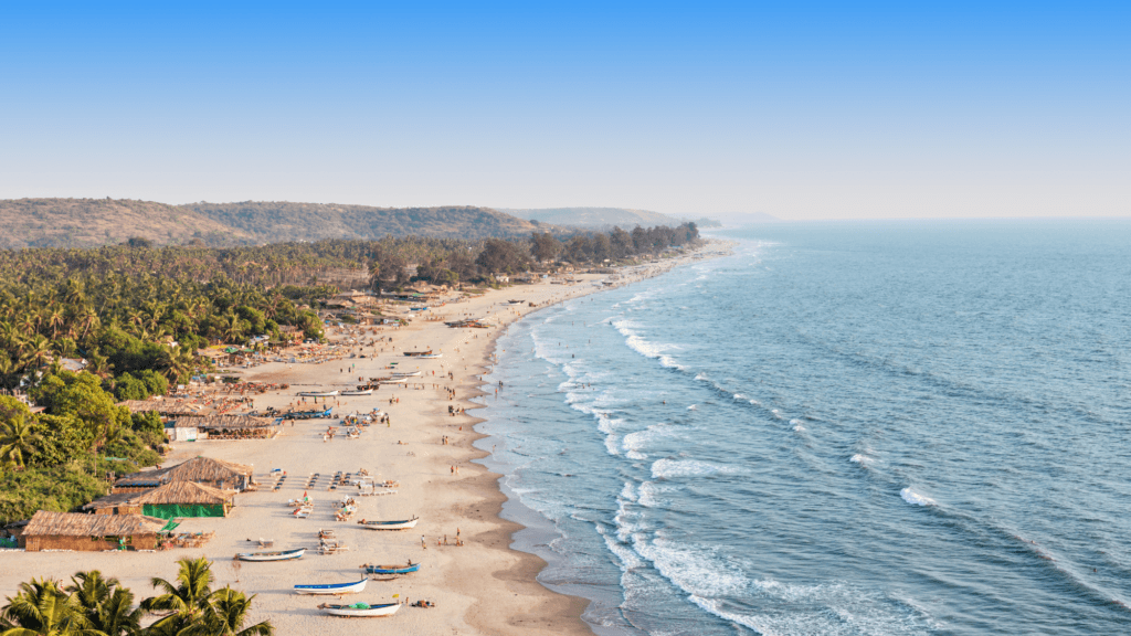 Wedding Planners in India